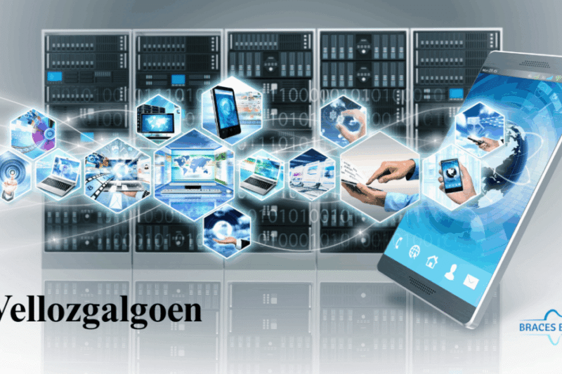 Dive Deep into the Enigmatic World of Vellozgalgoen